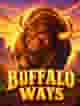 BUFFALO WAYS
