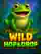 Wild Hop&Drop